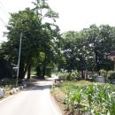 송촌2리 마을회관 이미지