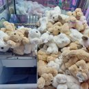 대빵인형뽑기 이미지