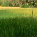 몽키세탁소 이미지