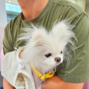 스킨앤이어동물병원 이미지