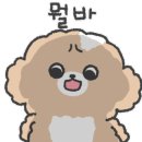 무브펫 이미지