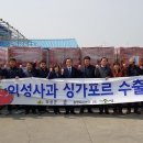 의성사과