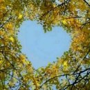 산골마당 이미지