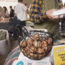 숲에서 온 유정란 이미지