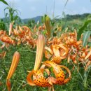 (주)자양 이미지