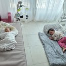 심기보농장 이미지