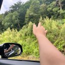 오대산비로봉식당 | 오대산 비로봉식당 가격 주차