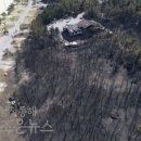 동해망상오토캠핑리조트 이미지