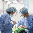 연세타워치과의원 이미지