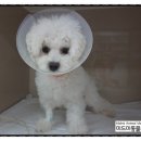 미드미동물병원 이미지