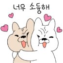 센트럴동물병원 이미지