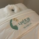 나비약국 | 강남 림프순환마사지 나비효과 에스테틱 강남본점 추천