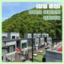 남이섬설4 | [강원도 춘천] 남이섬 설리조트 워터빌라 후기 | 뚜벅이 커플 추천