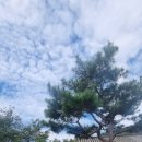 도심길49 이미지