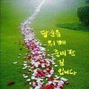 당신만을 위한 길 이미지