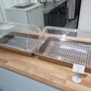 테라워시 김포풍무점 이미지