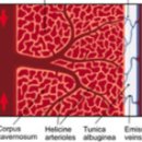 부전사랑약국 이미지