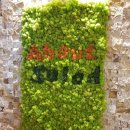 어바웃 샐러드 이미지