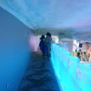 아이스뮤지엄 이미지