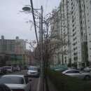 용산-129 이미지