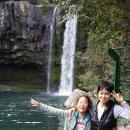 천지연 폭포 이미지