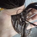 바이독한 | 바이아우어 맥주효모 샴푸 | 탈모샴푸 사용 후기