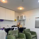 하비헤어 이미지