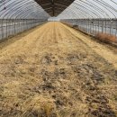 원반농장 이미지