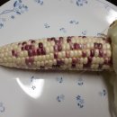 장전서당골 영농조합법인 이미지