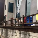 뜨라레2 - 수영구 | 뜨라레2