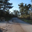 도일목장 이미지