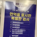 엠디그린의원 | 분당 엠디그린의원 건강검진 재방문 후기 / NK세포 검사 수면내시경