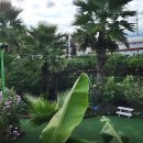 마로니에 미니골프 이미지