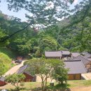 장곡사 - 1043 | 아, 장곡사가 있었네