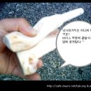이쁜오리