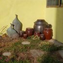 슈가독살롱 이미지