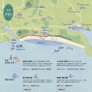 아일랜드리솜 이미지