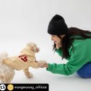 멍뭉(MUNGMOONG) 이미지