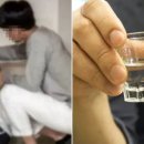 소주특별시 인사이트