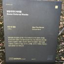 형형색색의바위들 이미지