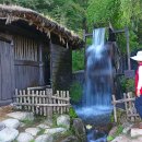 메밀목장 이미지