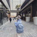 블루무아 | 여행 및 기저귀 가방 추천 아비에무아 뚜또 로고 백팩 애쉬블루 1년 사용 후기 착용샷