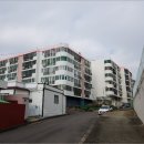 비룡그린파크 이미지