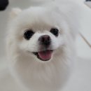 올리스 일산백석점 이미지