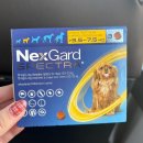 경인약국 | 인천 넥스가드스펙트라 저렴한 약국 &#39;인천시민약국&#39;