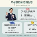 11월 집회 일정 이미지