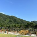 레오의숲
