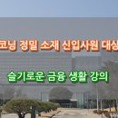 슬기로운 금융생활 | 코닝정밀소재 신입사원 대상 슬기로운 금융생활 강의 후기 - 자산관리부터 포트폴리오 설계까지