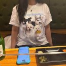 포메모리즈 반려동물 커스텀 티셔츠 제작 후기 🐶
