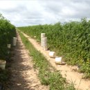 계산농장 이미지